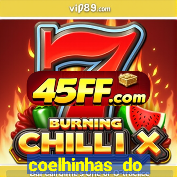coelhinhas do brasil jp
